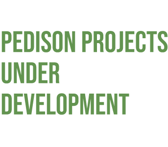 Pedison Energy